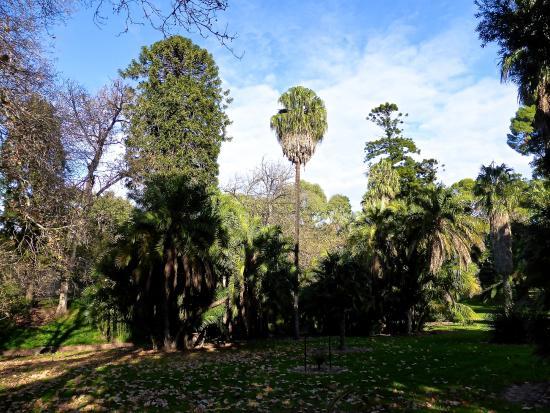 Botanische Tuinen van Adelaide